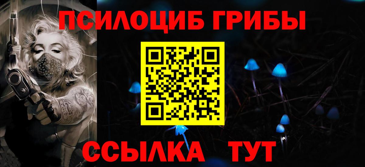 Галлюциногенные грибы Psilocybe  Вход с VPN  Отрадный 