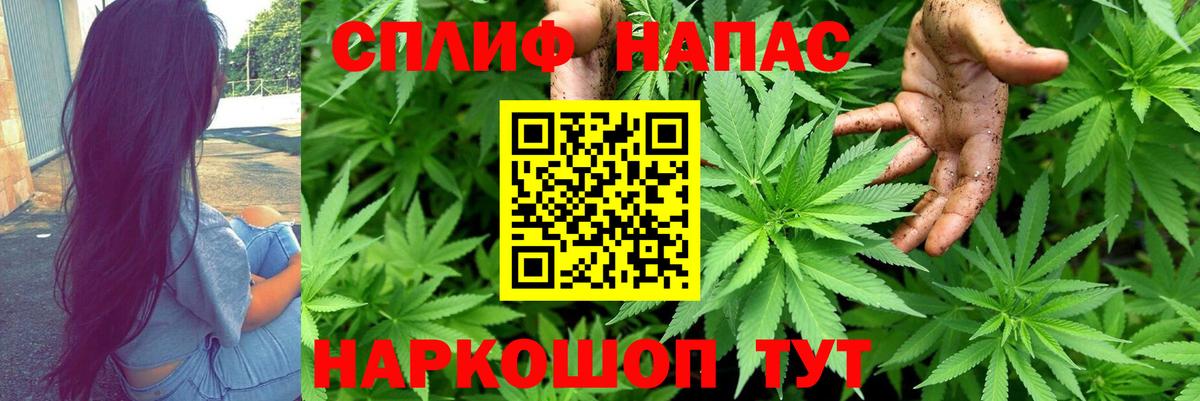 Бошки Шишки ГИДРОПОН  Канабис AK-47  Отрадный  Вход с VPN  Шишки марихуана план  Конопля MAZAR 